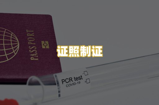 证照制证